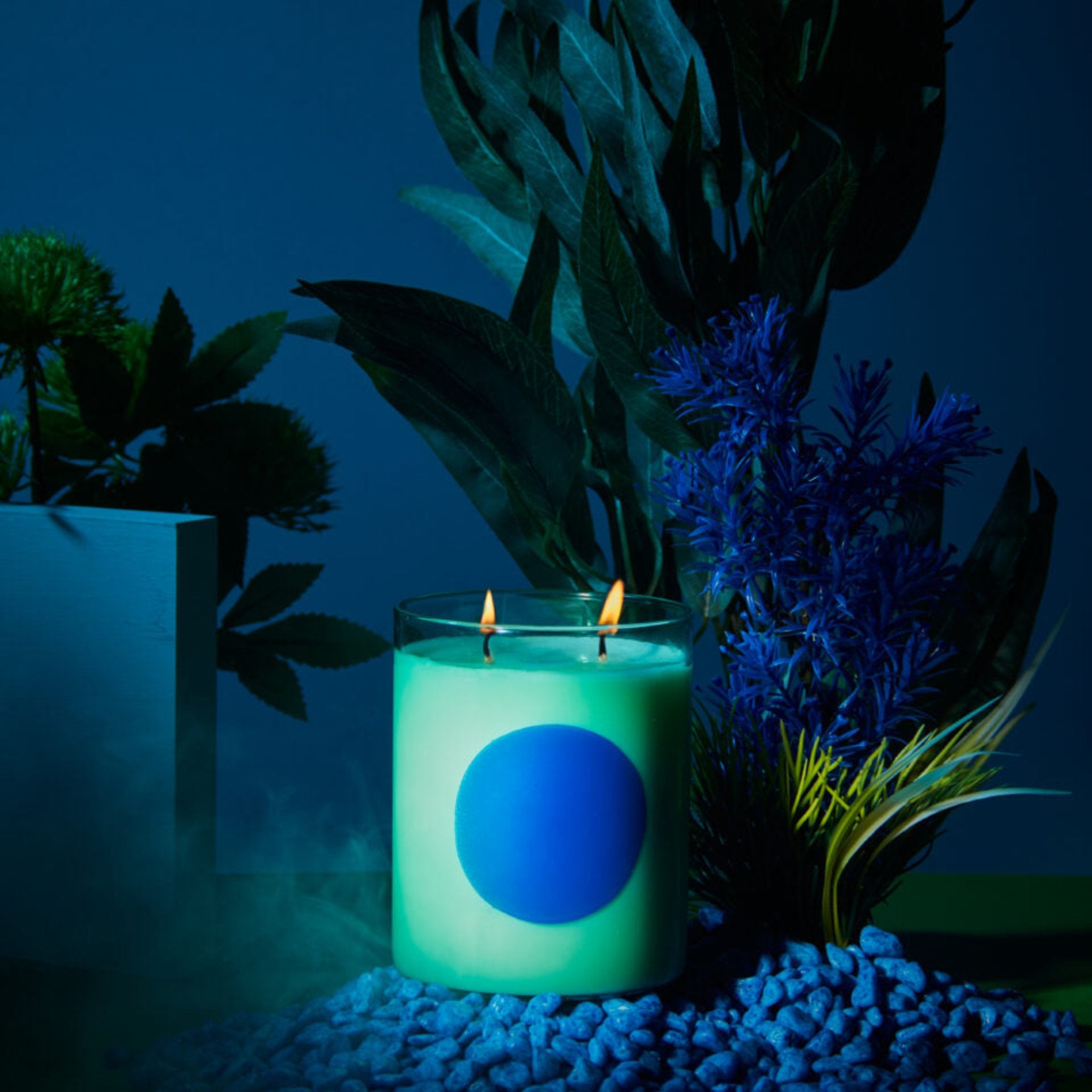WXY Disco 475g Candle Basil & Sweet Lime
