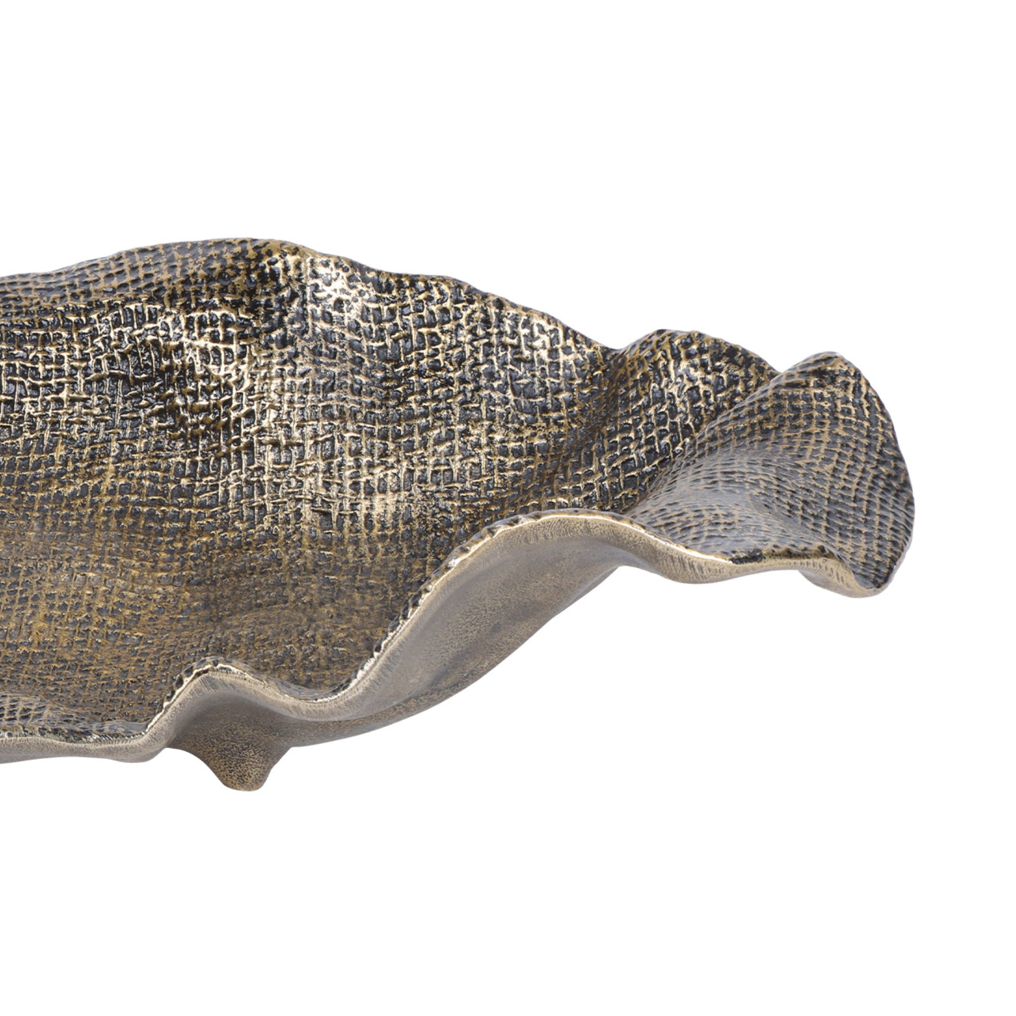 Decorative shell with textured surface on a white background