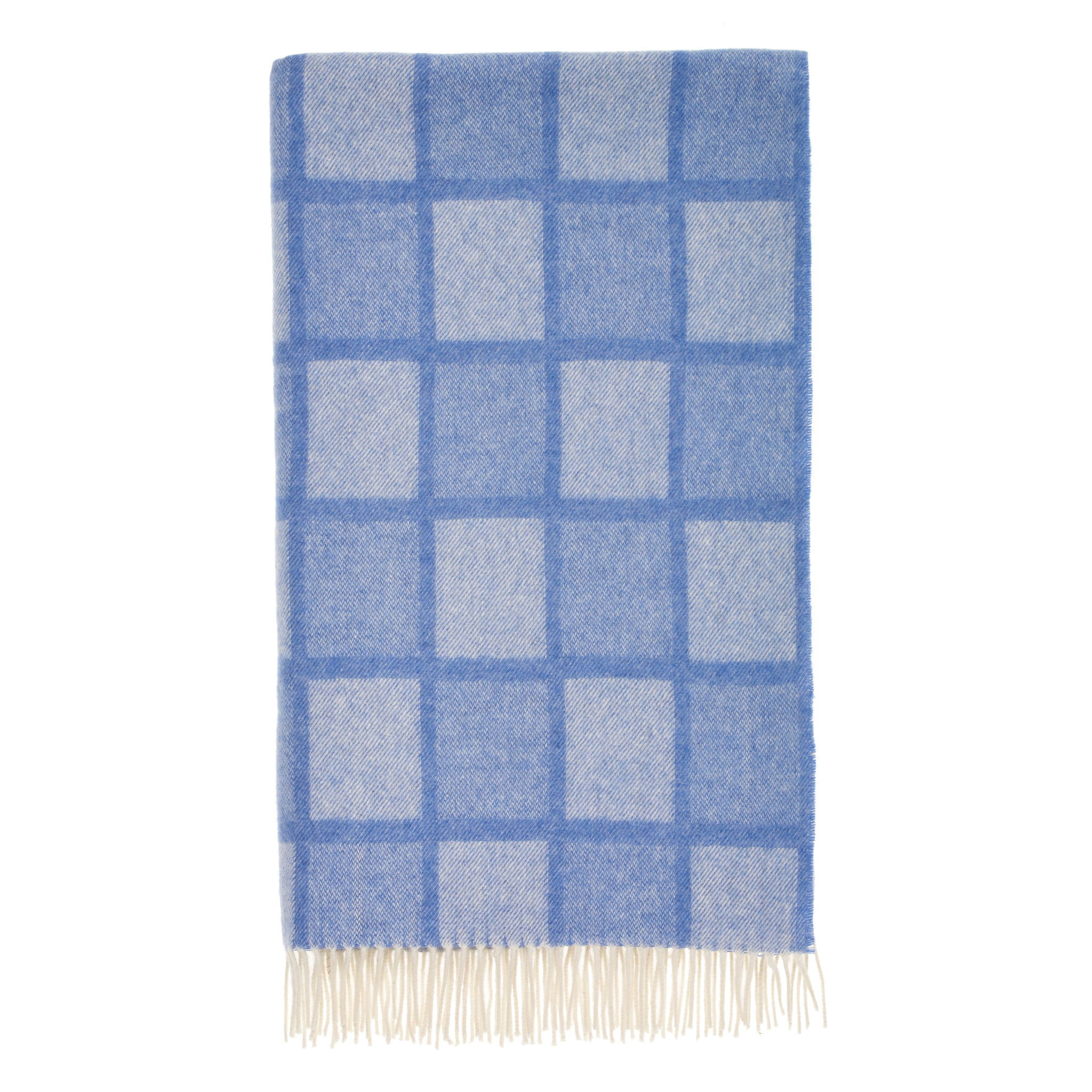Blue checkered blanket with white fringe on a white background
