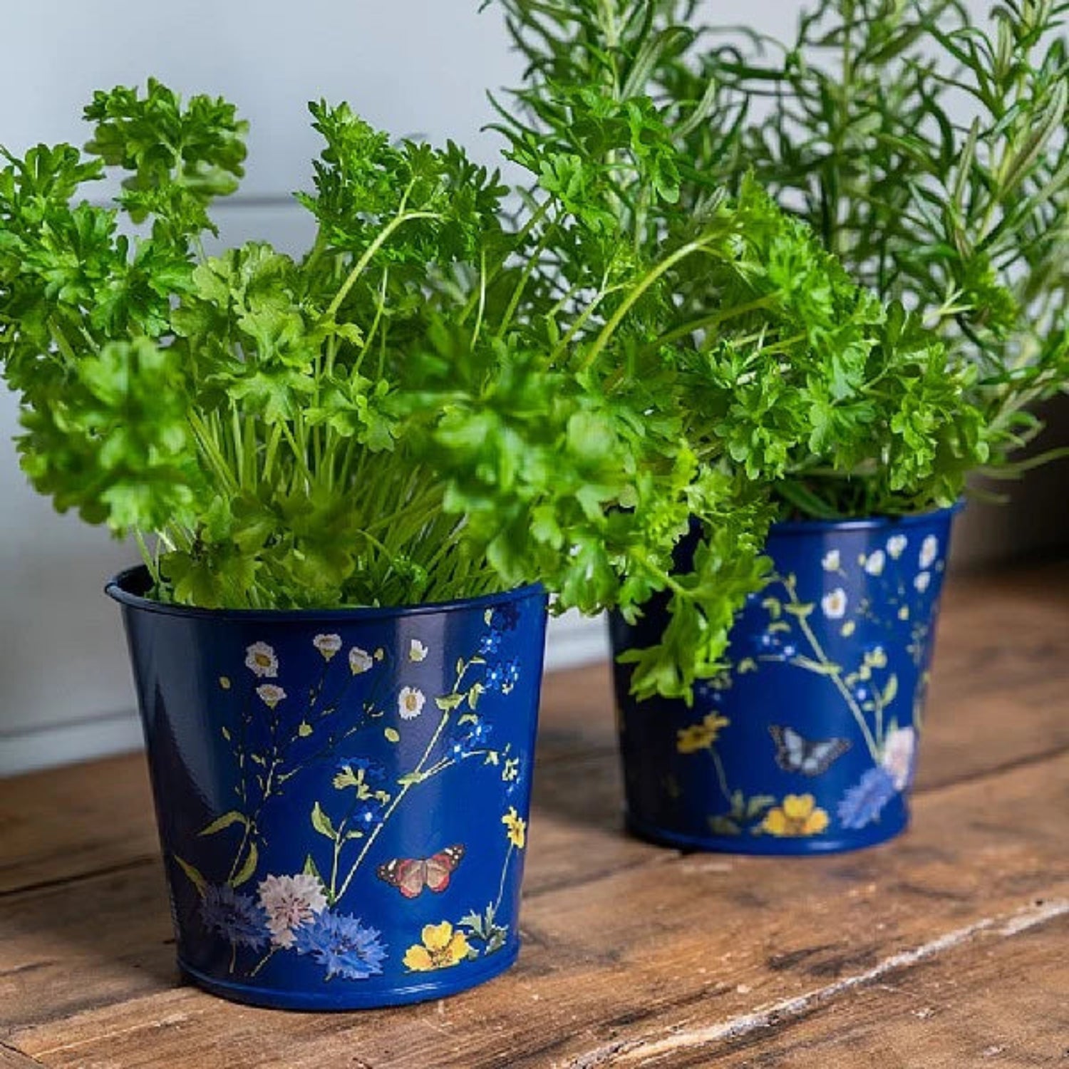 Burgon & Ball RHS British Meadow 2 Herb Pots