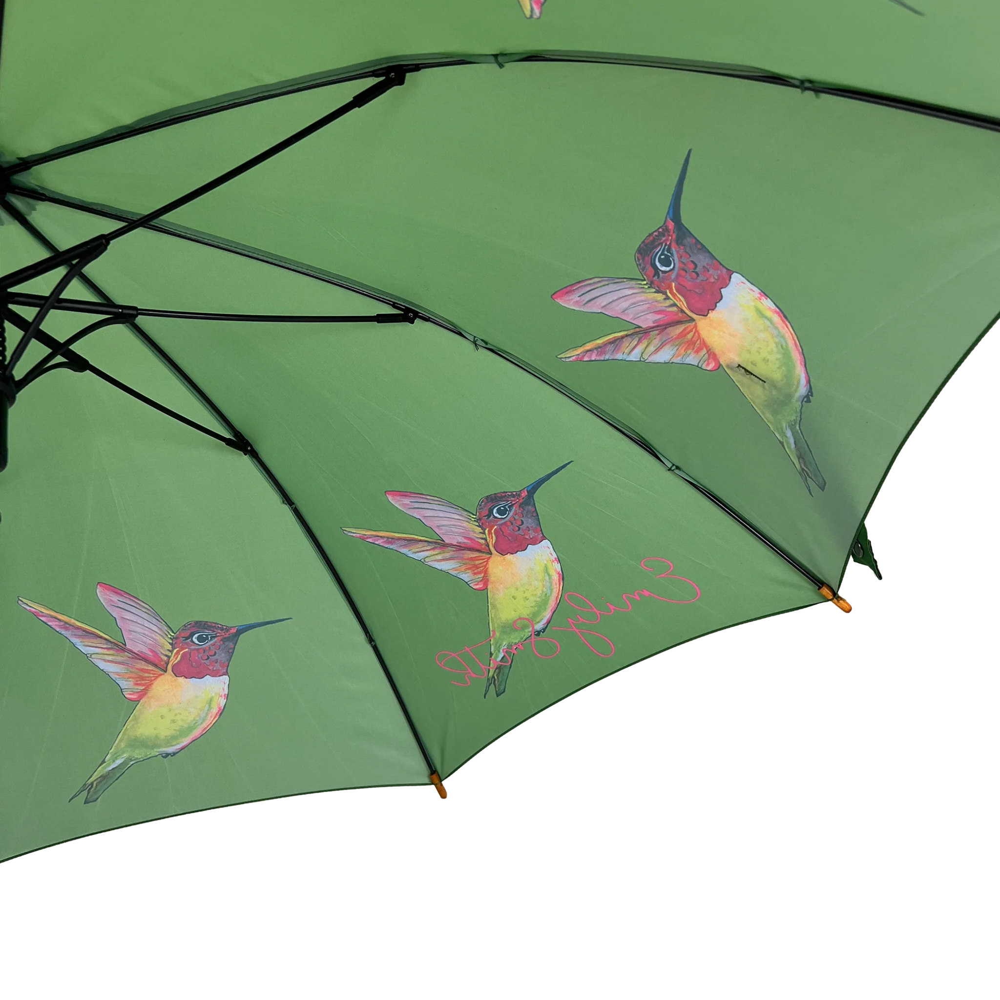 Emily Smith Herminone Hummingbird Umbrella