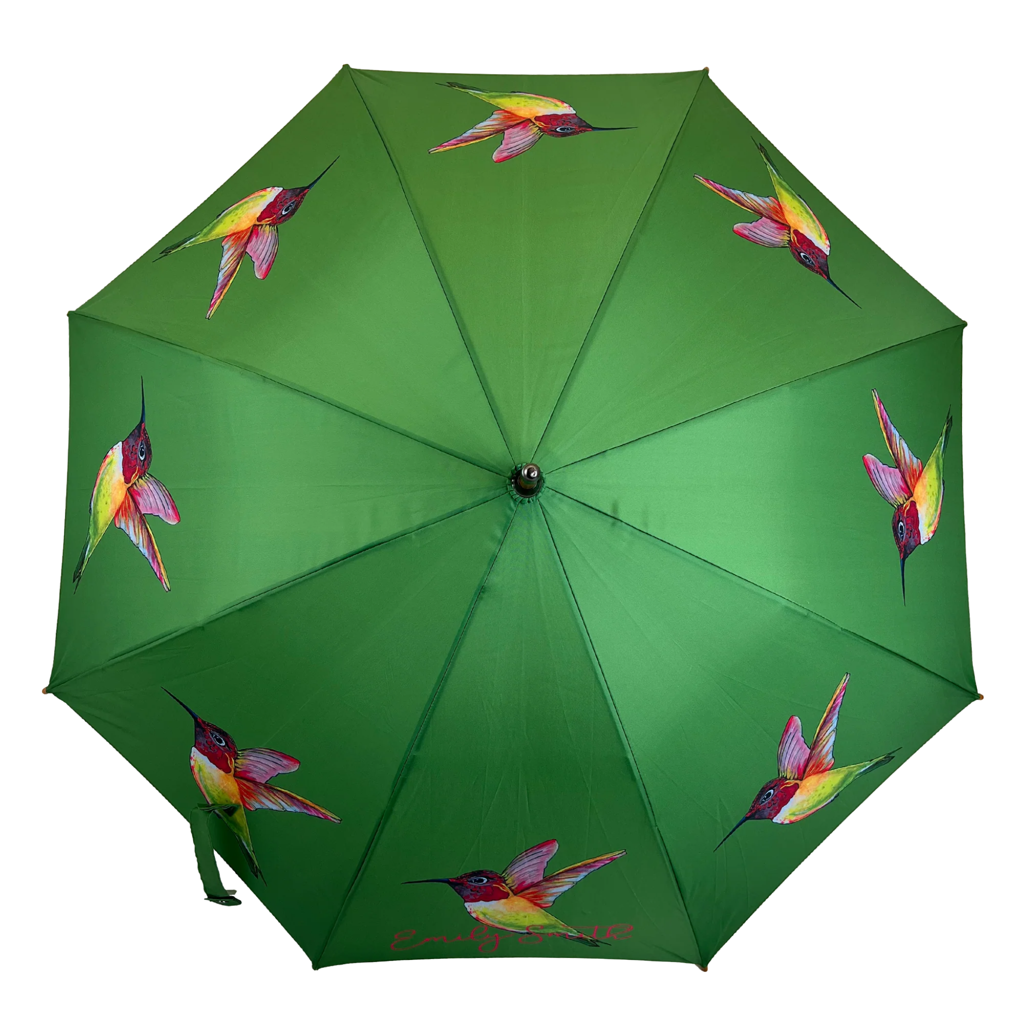 Emily Smith Herminone Hummingbird Green Umbrella