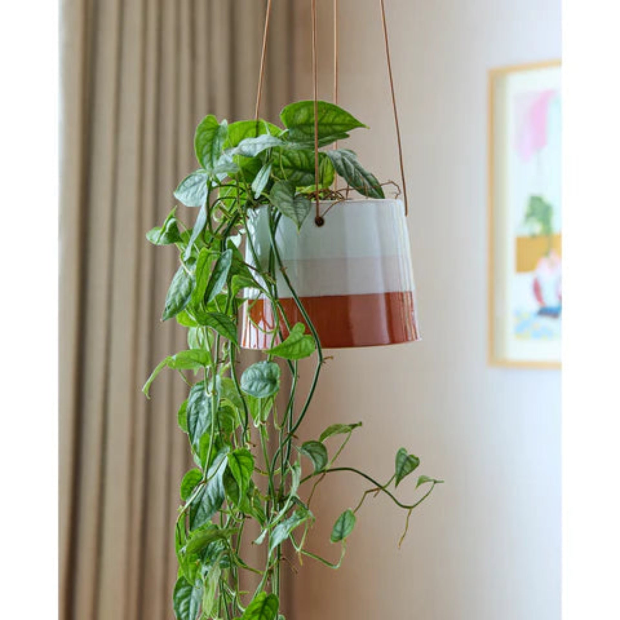 Burgon & Ball Hanging Pot Blush