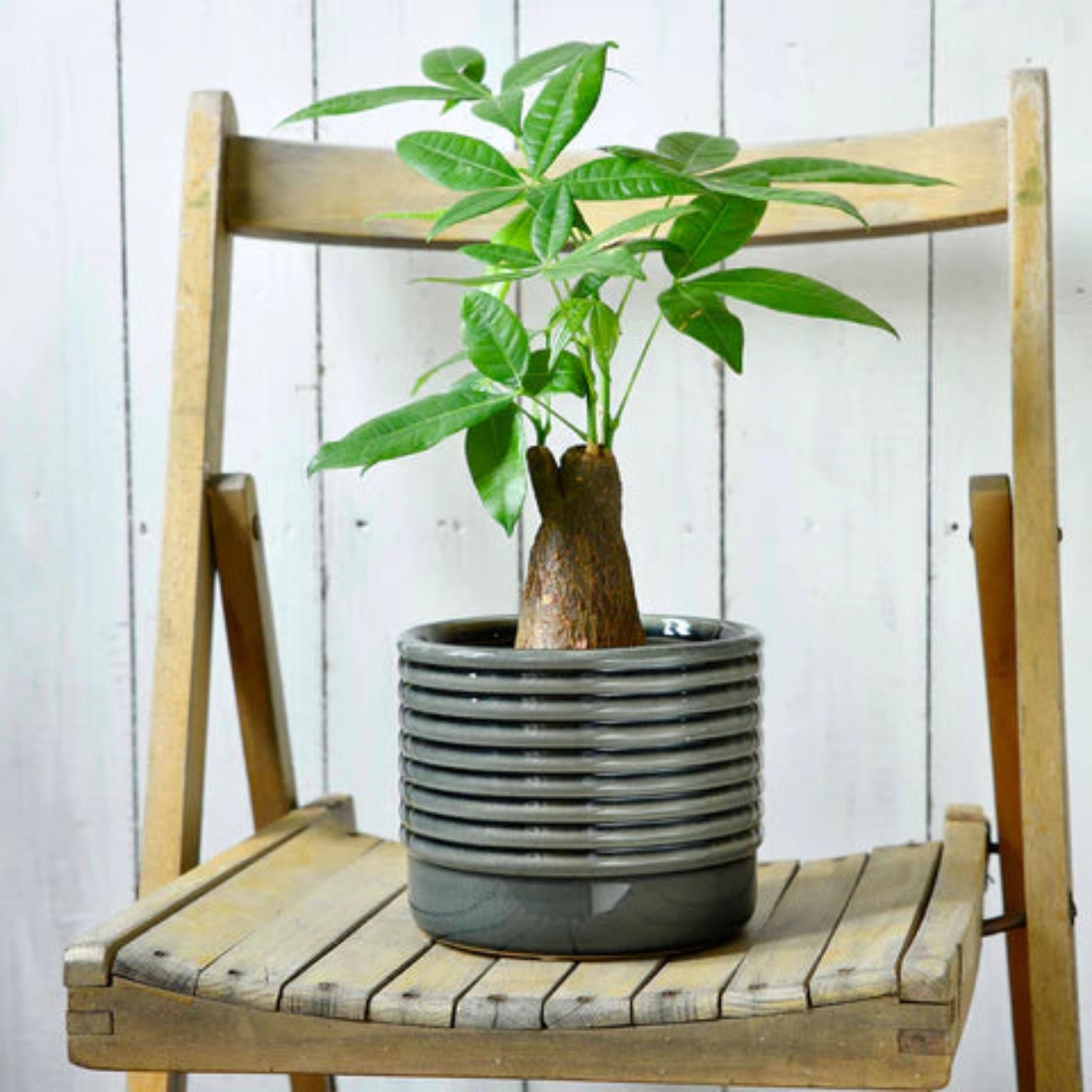 Burgon & Ball Oslo Grey Glazed Pot - Large