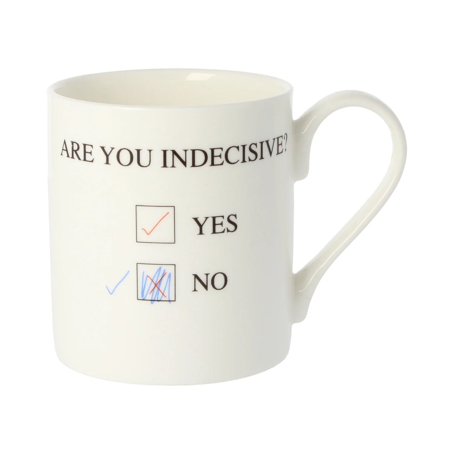 Genius Are You Indecisive Mug 300ml