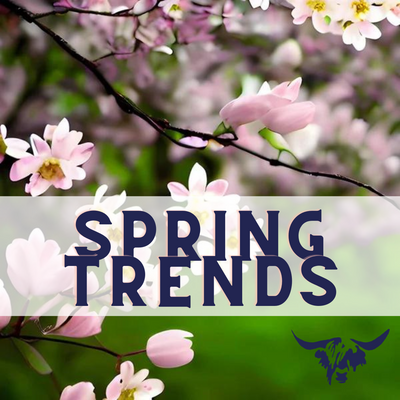 Embracing Spring 2024: Revitalize Your Home with 2024 Decor Trends