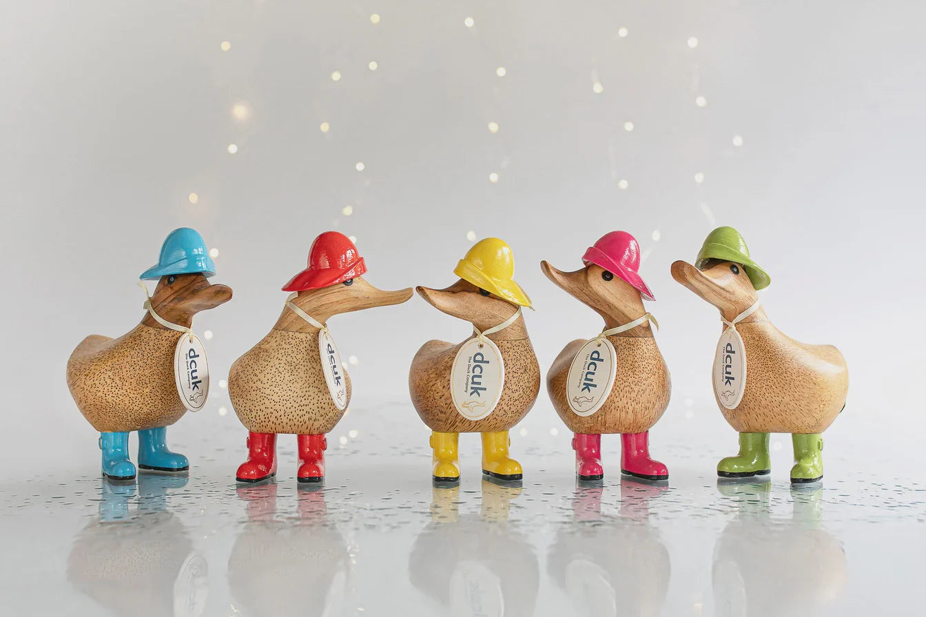 DCUK The Duck Company Oakley Home & Gifts