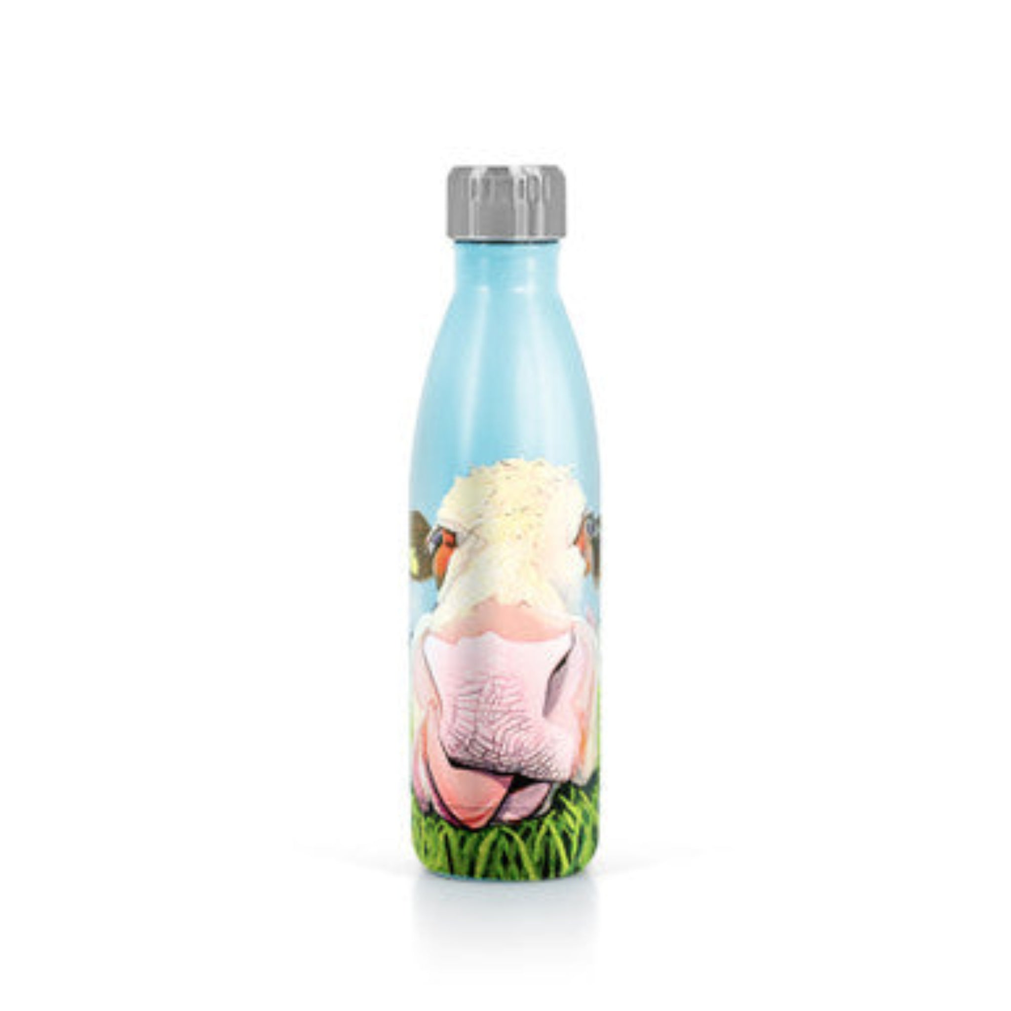 Eoin O’Connor Metal Water Bottle 500ml – I Could Eat A Horse