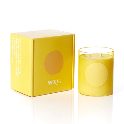 WXY Disco 475g Candle Blood Orange & Santal Embers