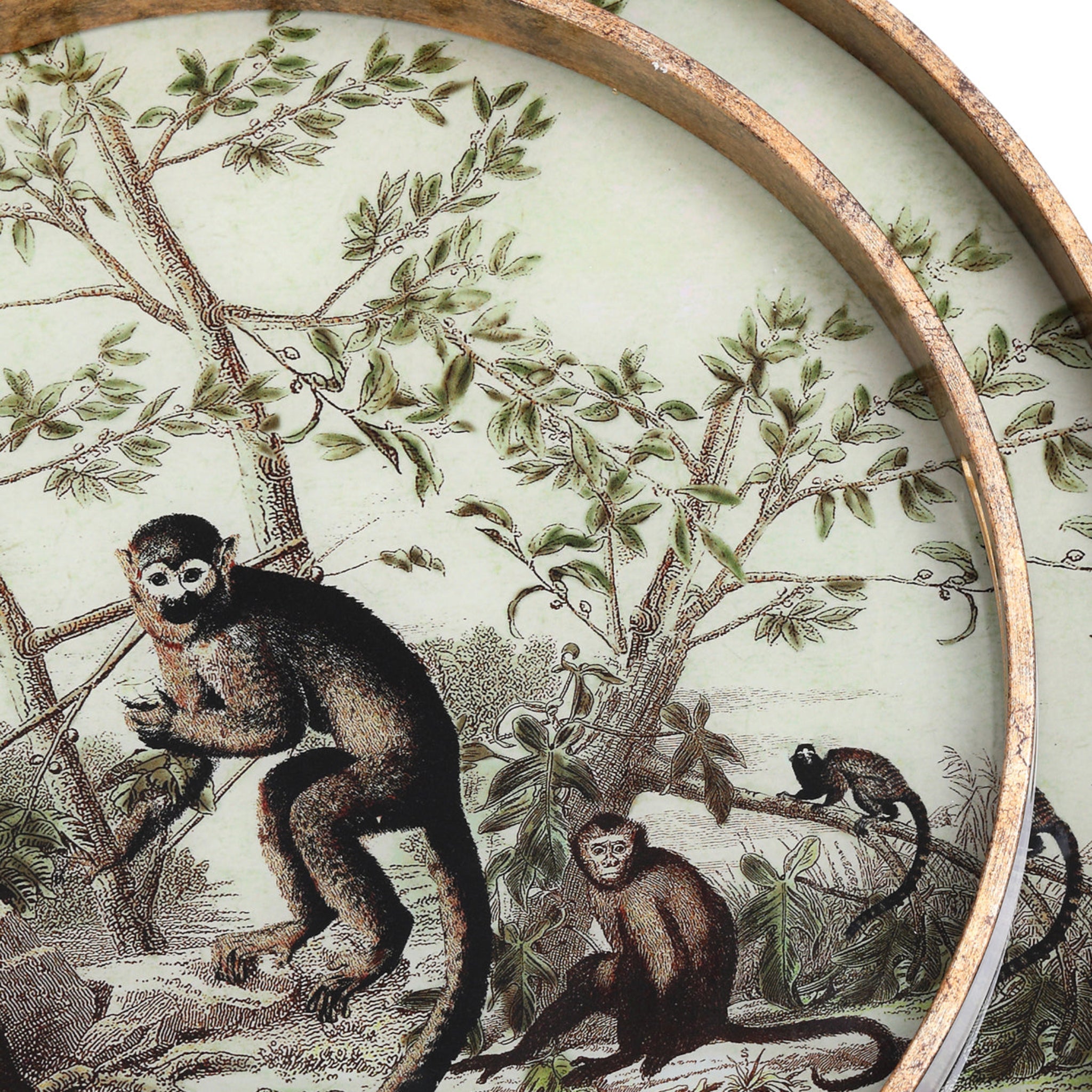 Decorative plate with monkey illustration in a natural setting