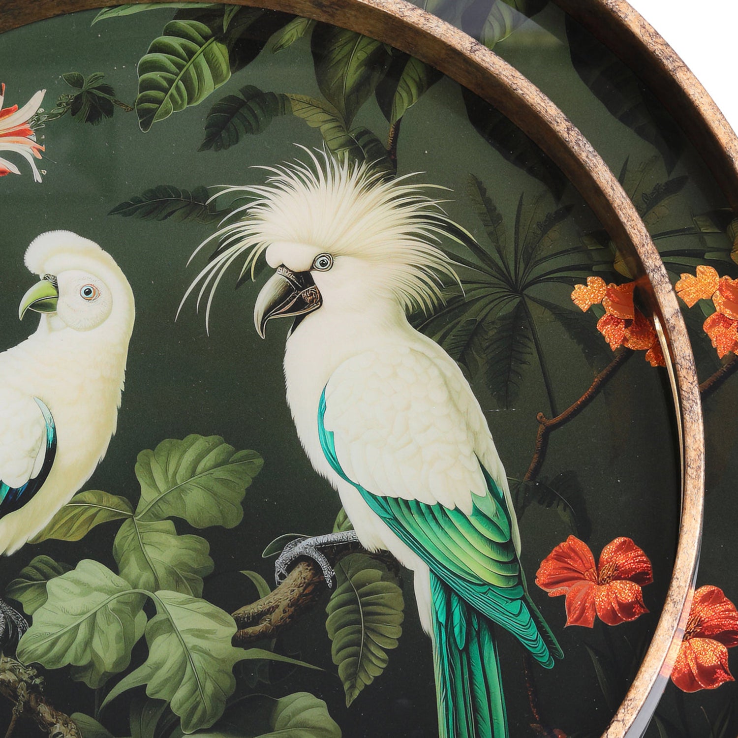 Decorative plate with parrot design featuring white and green parrots, leaves, and flowers.