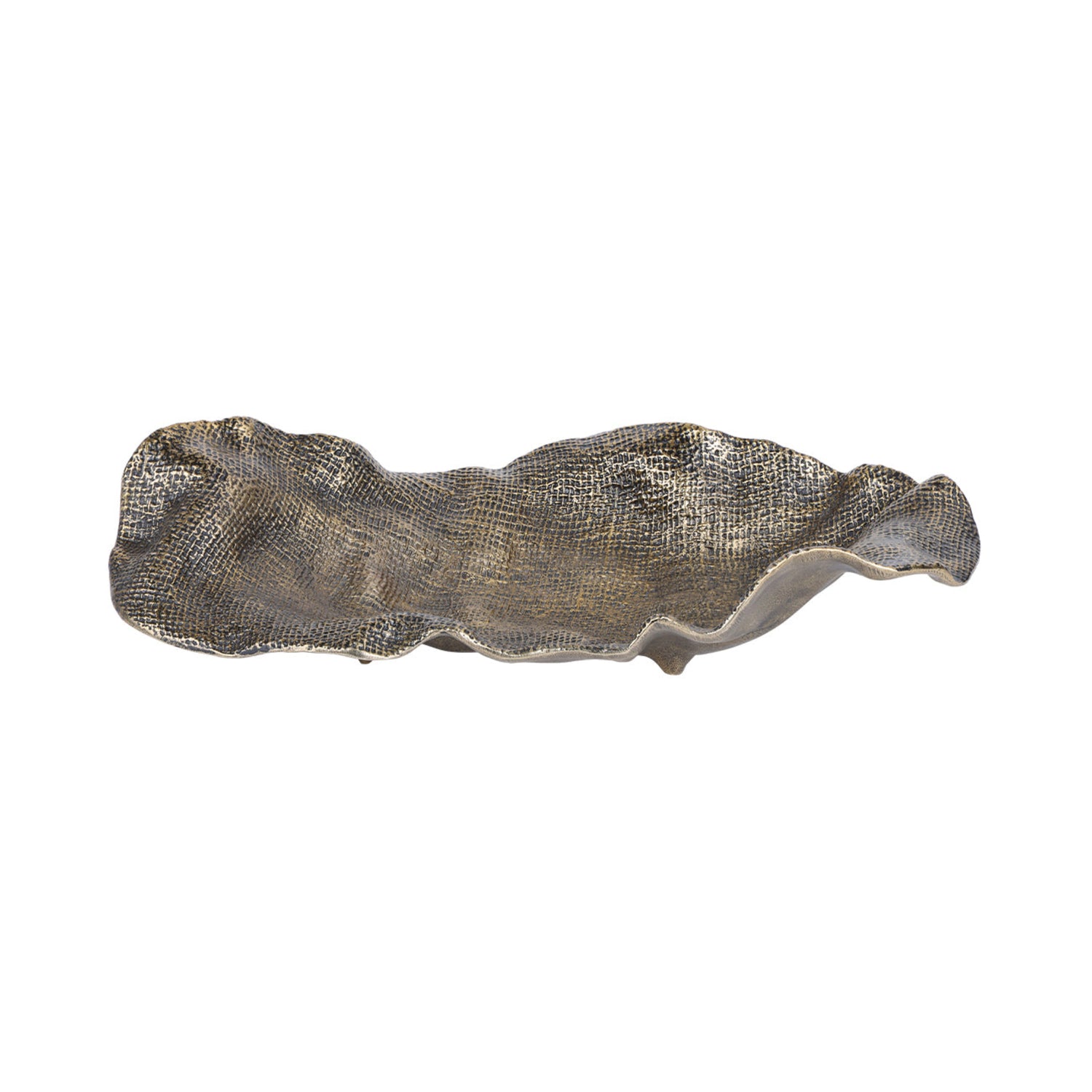 Decorative metallic shell on a white background