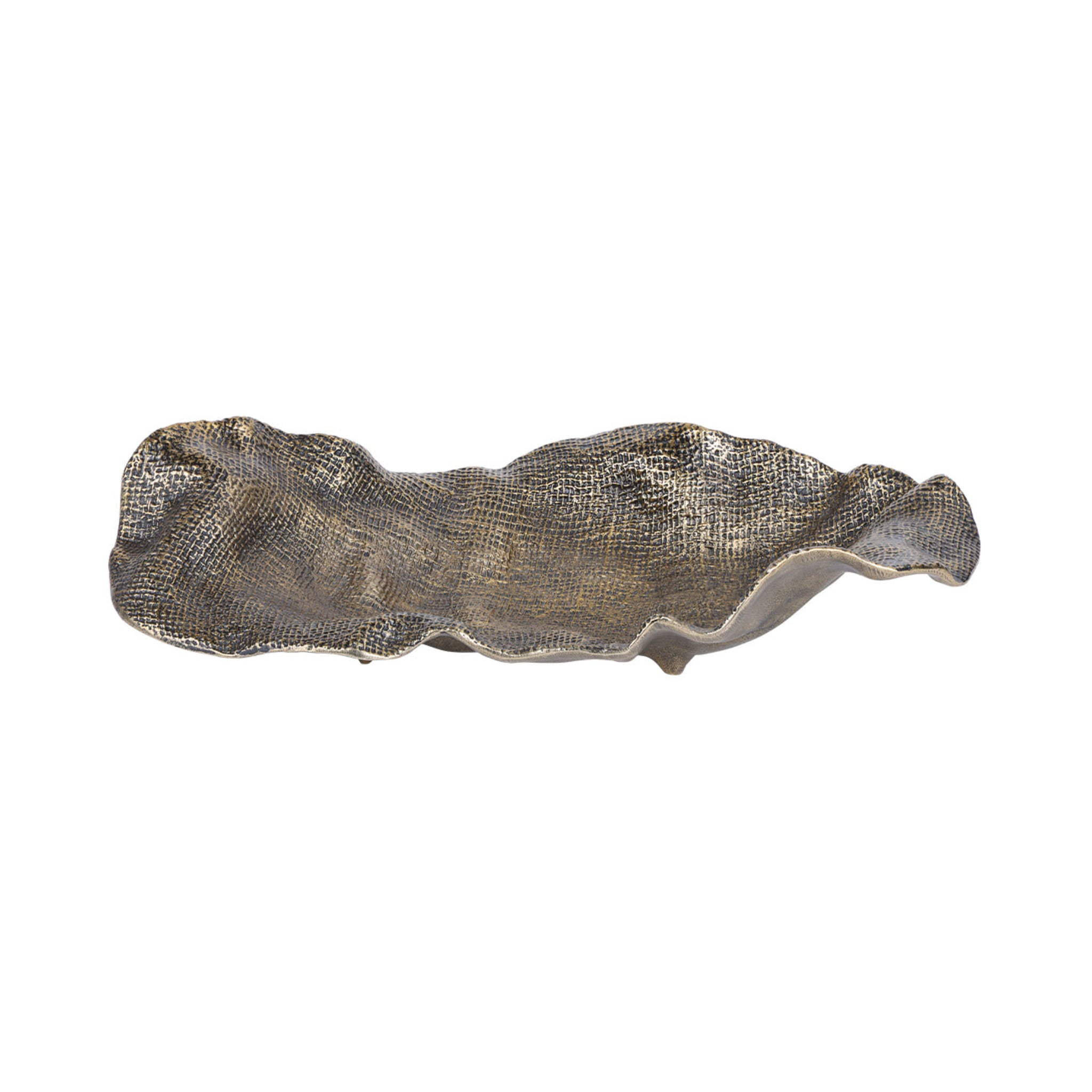 Decorative metallic shell on a white background