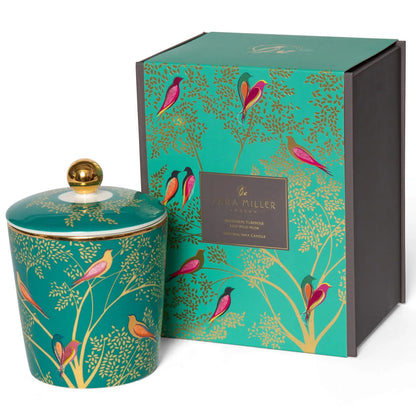 Sara Miller Manadrin Tuberose &amp; Wild Musk Candle 260g