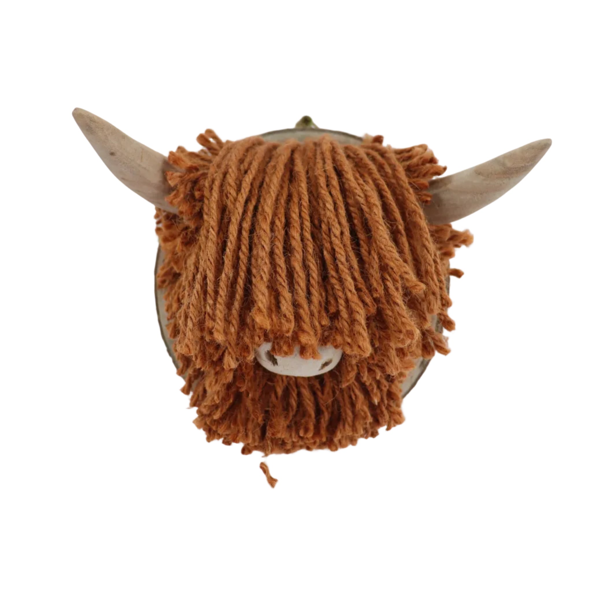 Aquarelle Home Ailsa Mini Highland Cow Wall Mounted Head Ginger