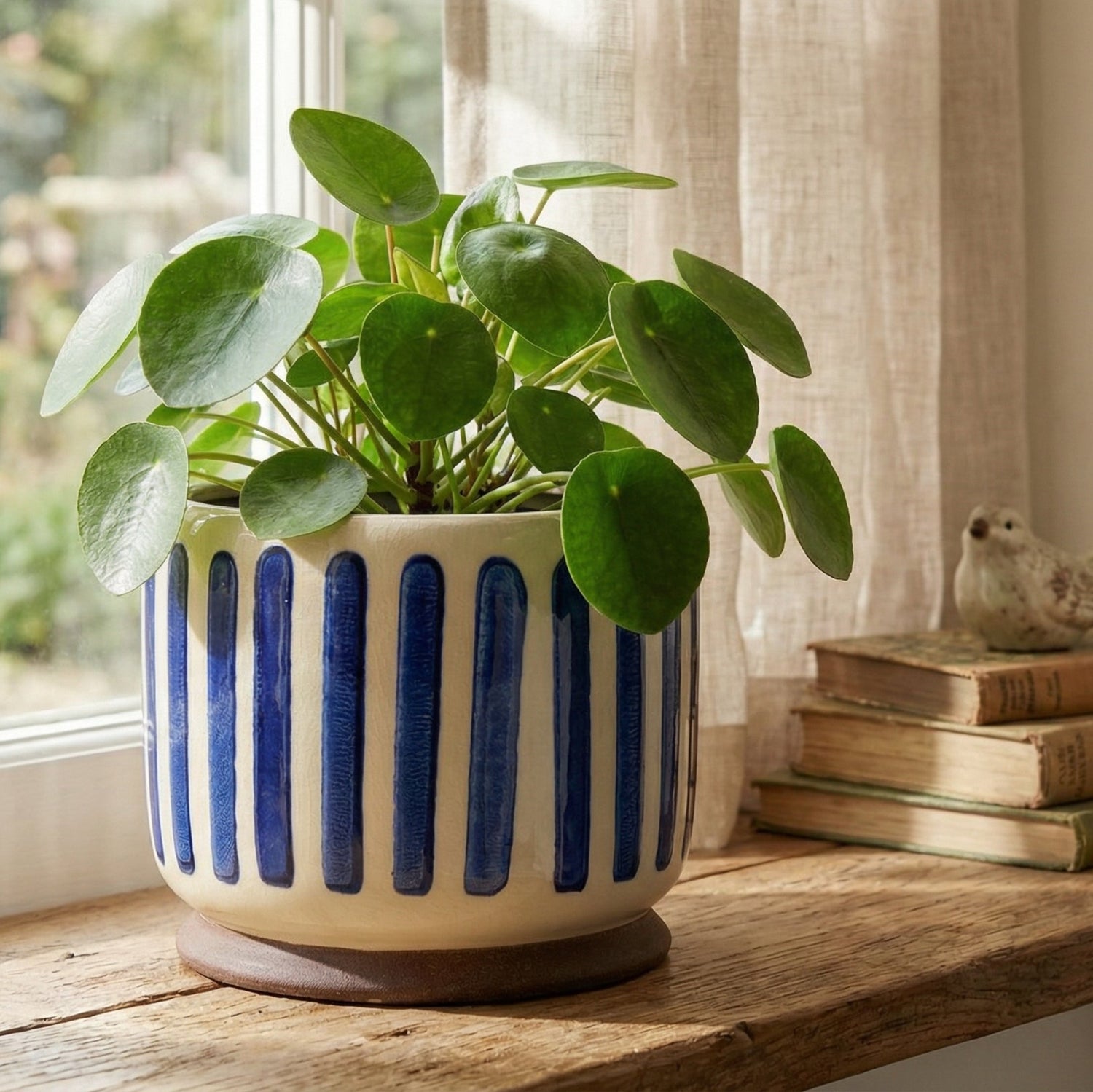 Potted plant with blue stripes on a windowsill with books and a small figurine.