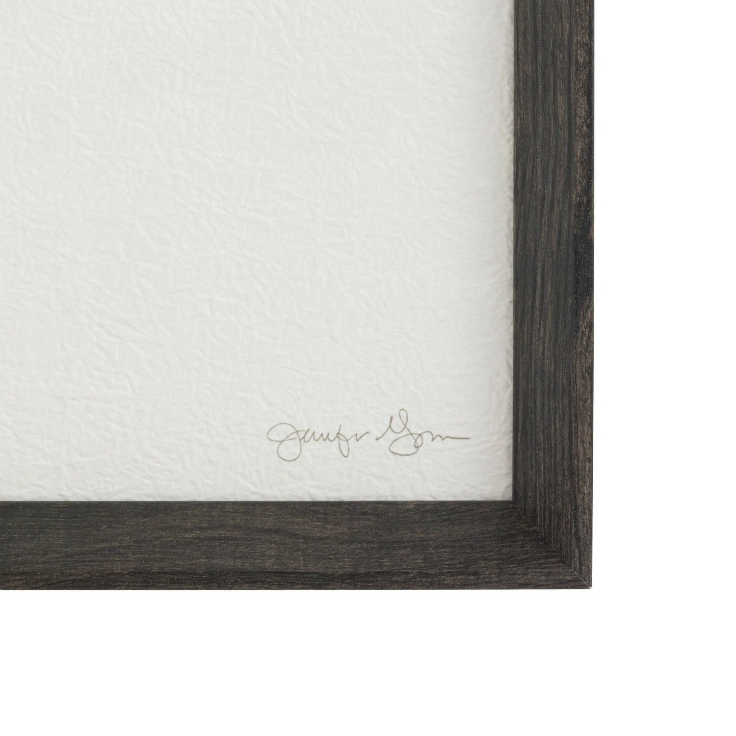 Delicate Nature Framed Art Set of 2 by Jennifer Goldberger frame close up