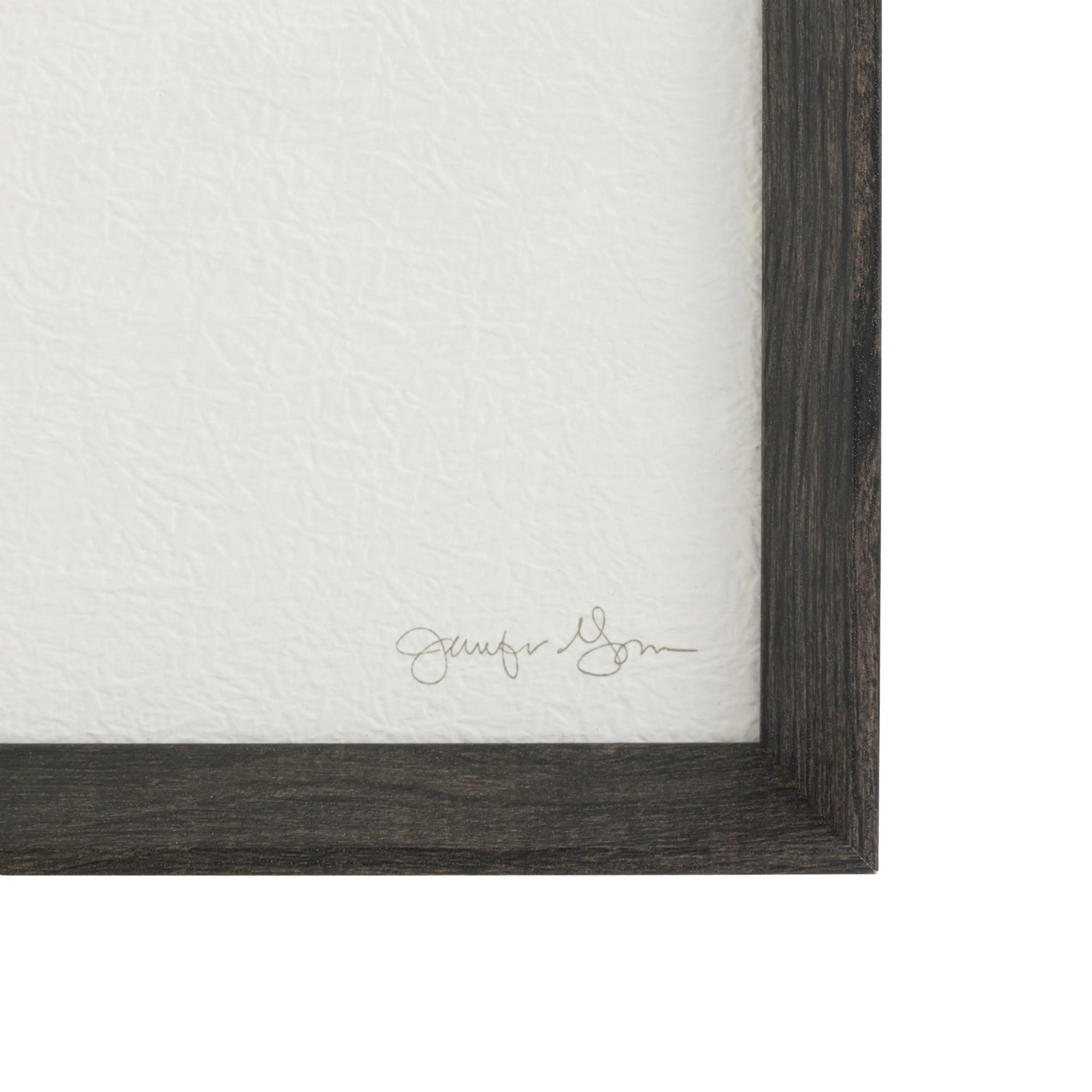 Delicate Nature Framed Art Set of 2 by Jennifer Goldberger frame close up