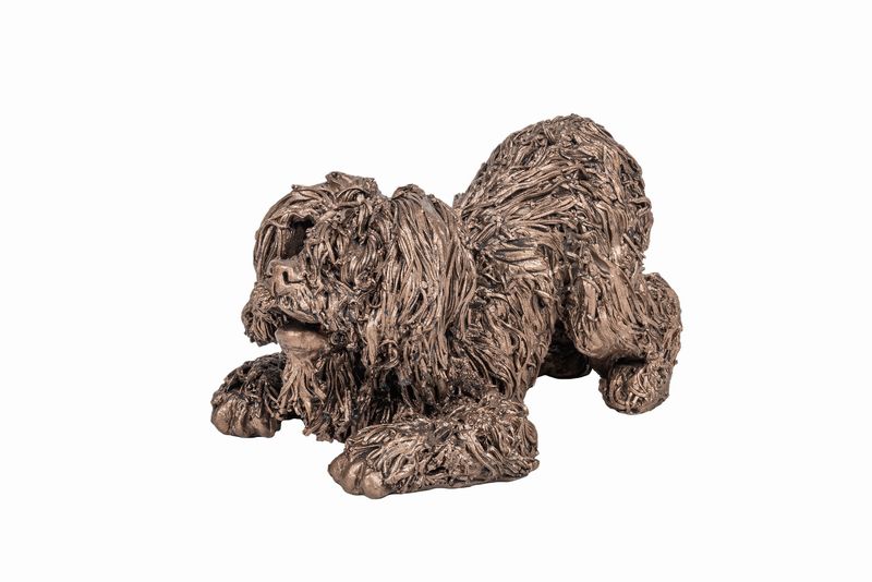 Frith Sculpture Billy Labradoodle - I Want To Play VB092