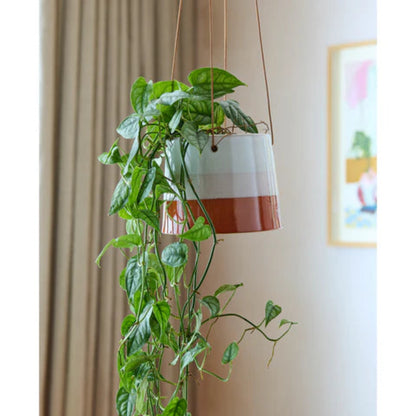 Burgon &amp; Ball Hanging Pot Blush