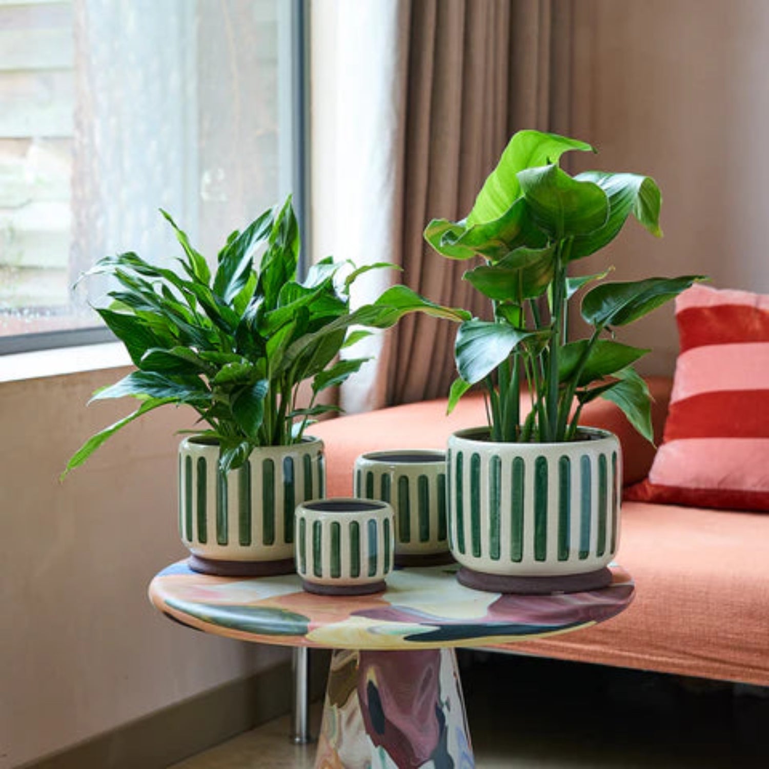 Three potted plants on a colorful side table with a couch and window in the background