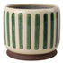 Ceramic planter with green vertical stripes on a white background