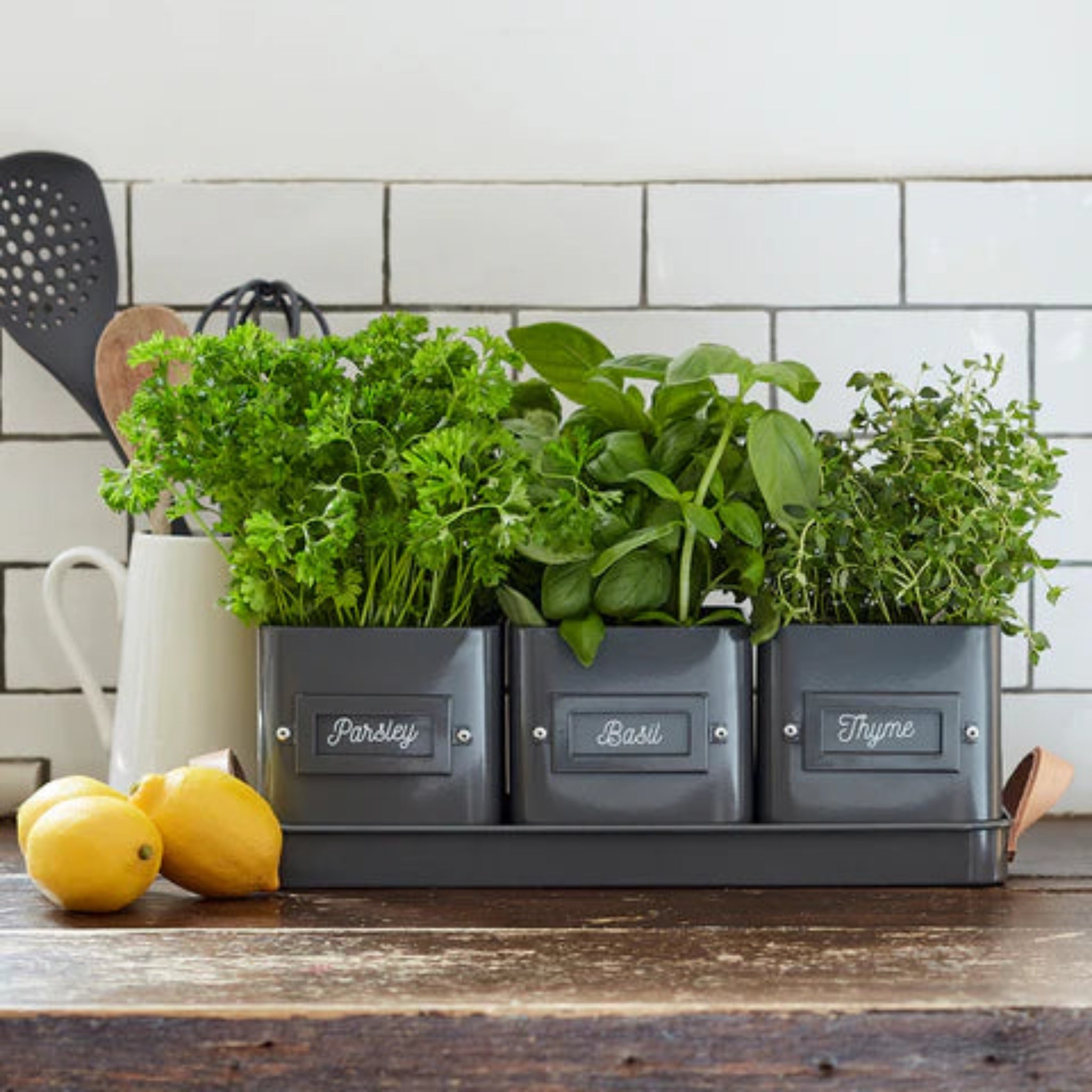 Herb pots with labels on a kitchen counter next to lemons