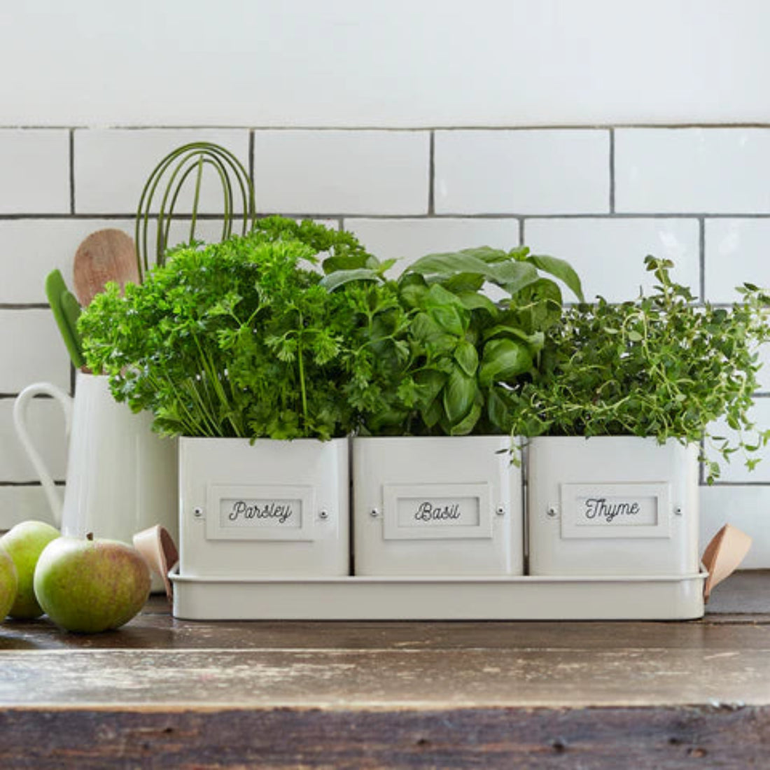 Set of herb pots with labels on a kitchen counter