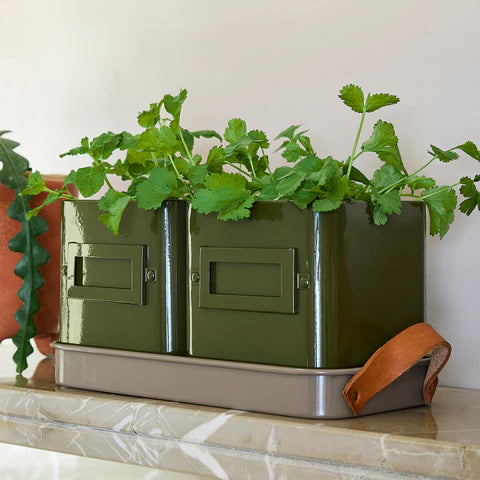 Burgon &amp; Ball Collector Herb Pots - Olive