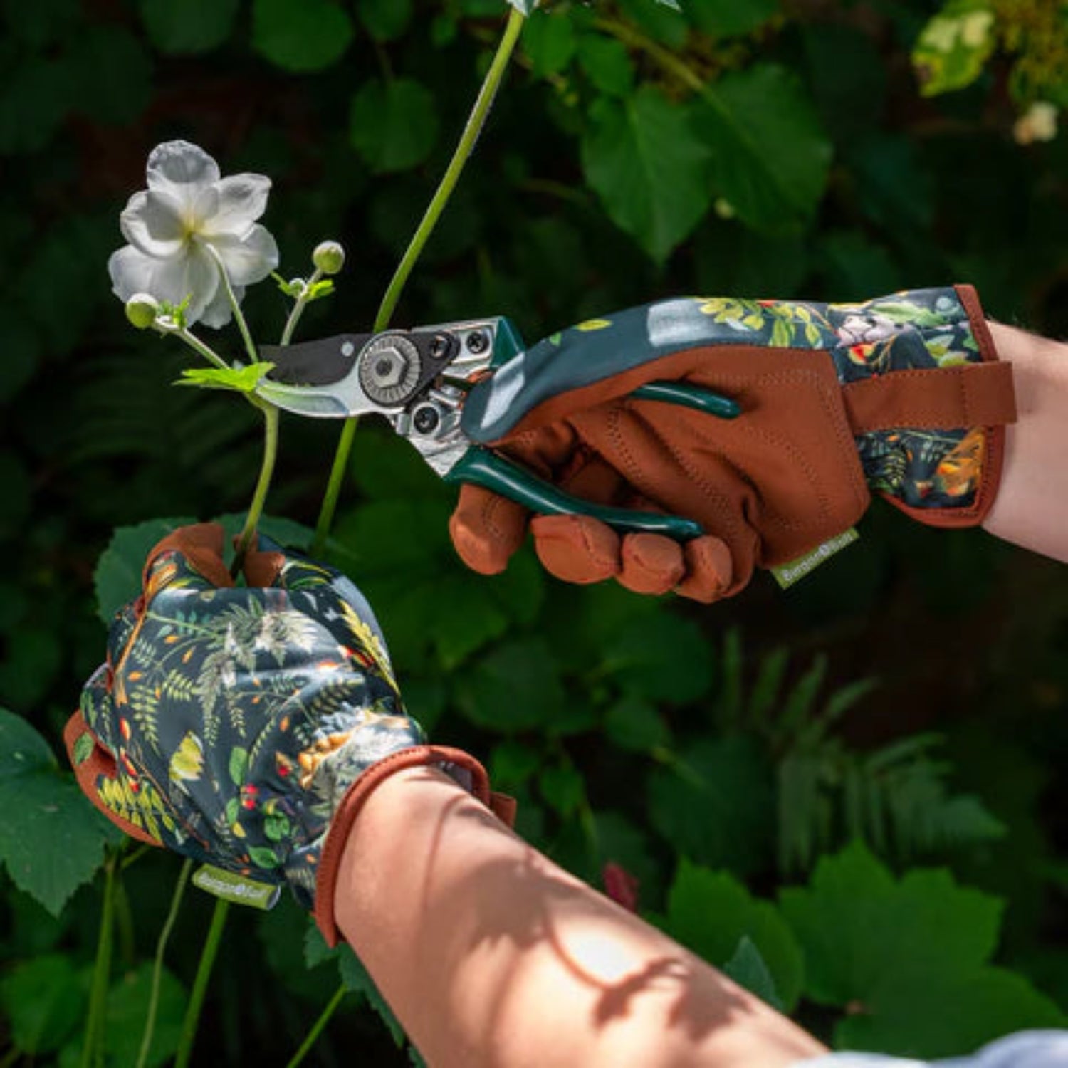 Person wearing gardening gloves holding a small plant and pruners with a green leafy background