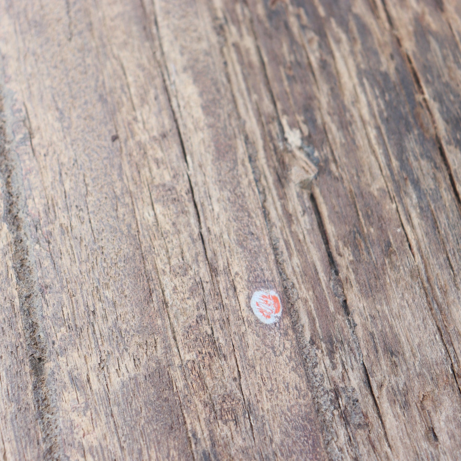 Close-up of a wooden surface with a small red and white label.