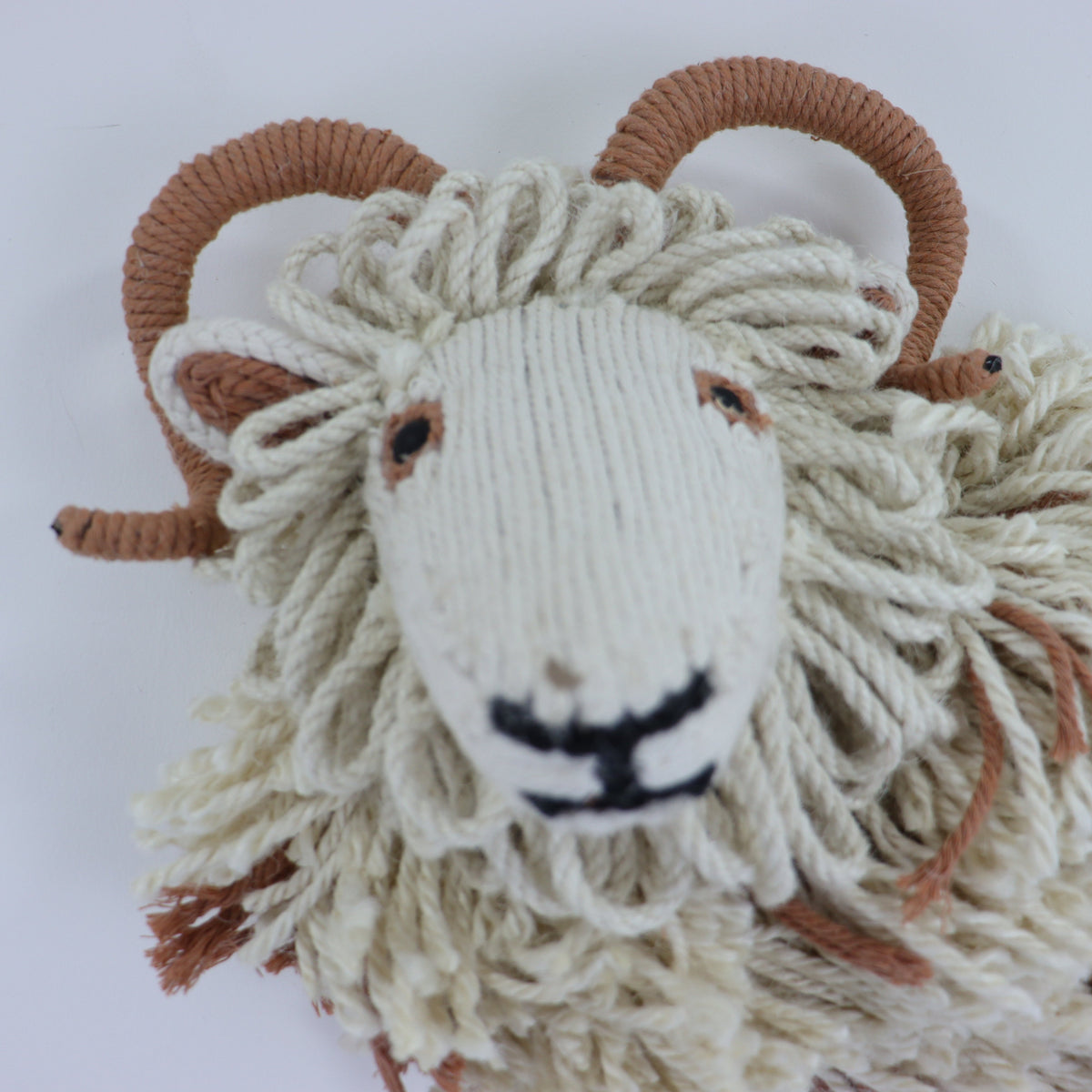 a close up of a sheep head