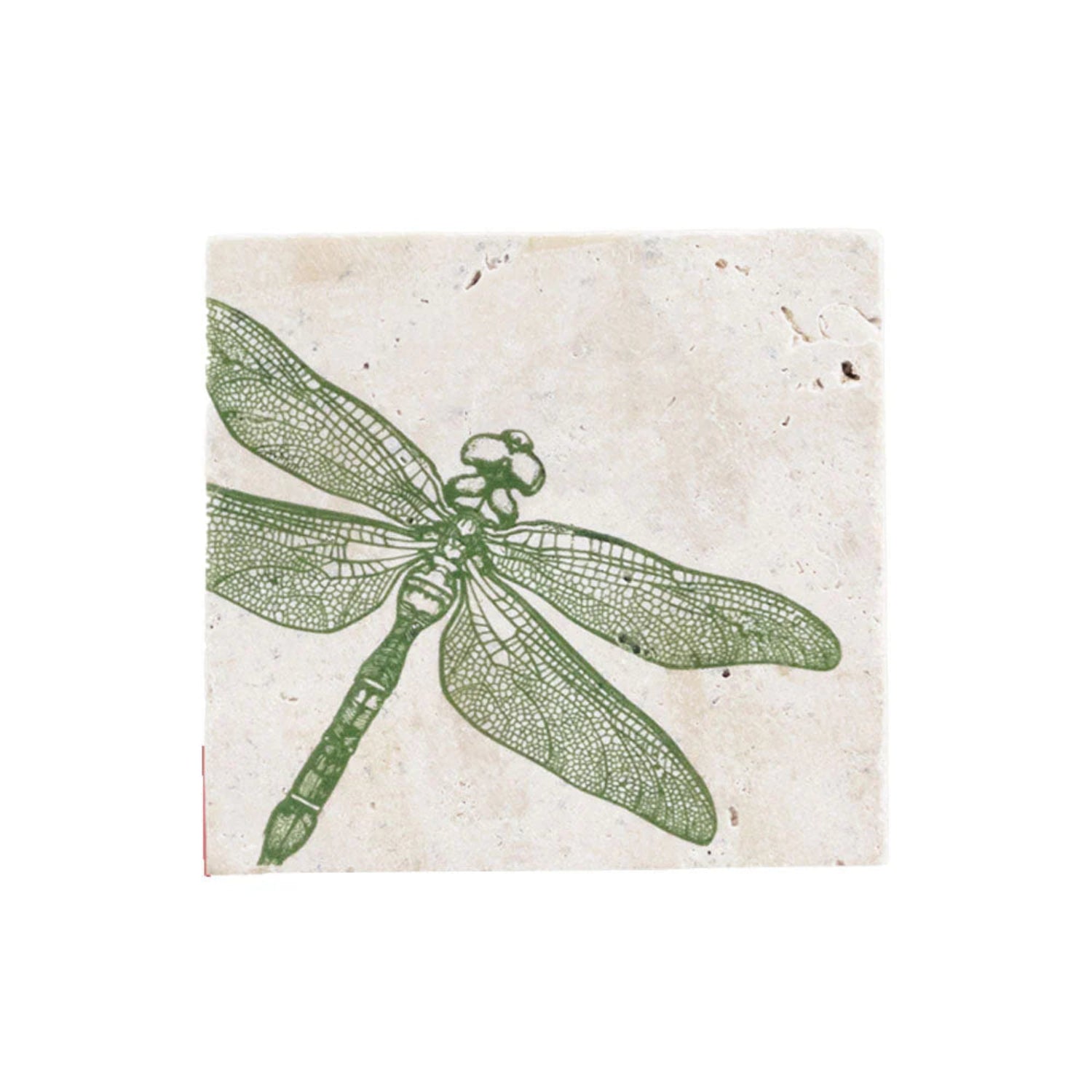 Green dragonfly illustration on a textured beige background