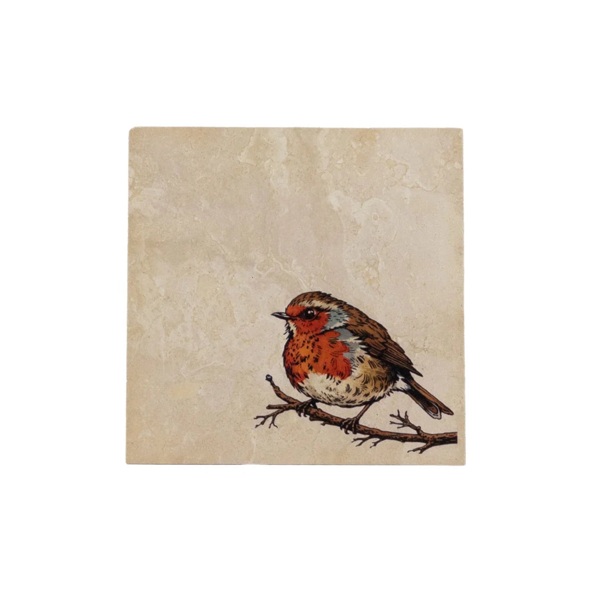 Illustration of a robin on a branch with a textured beige background