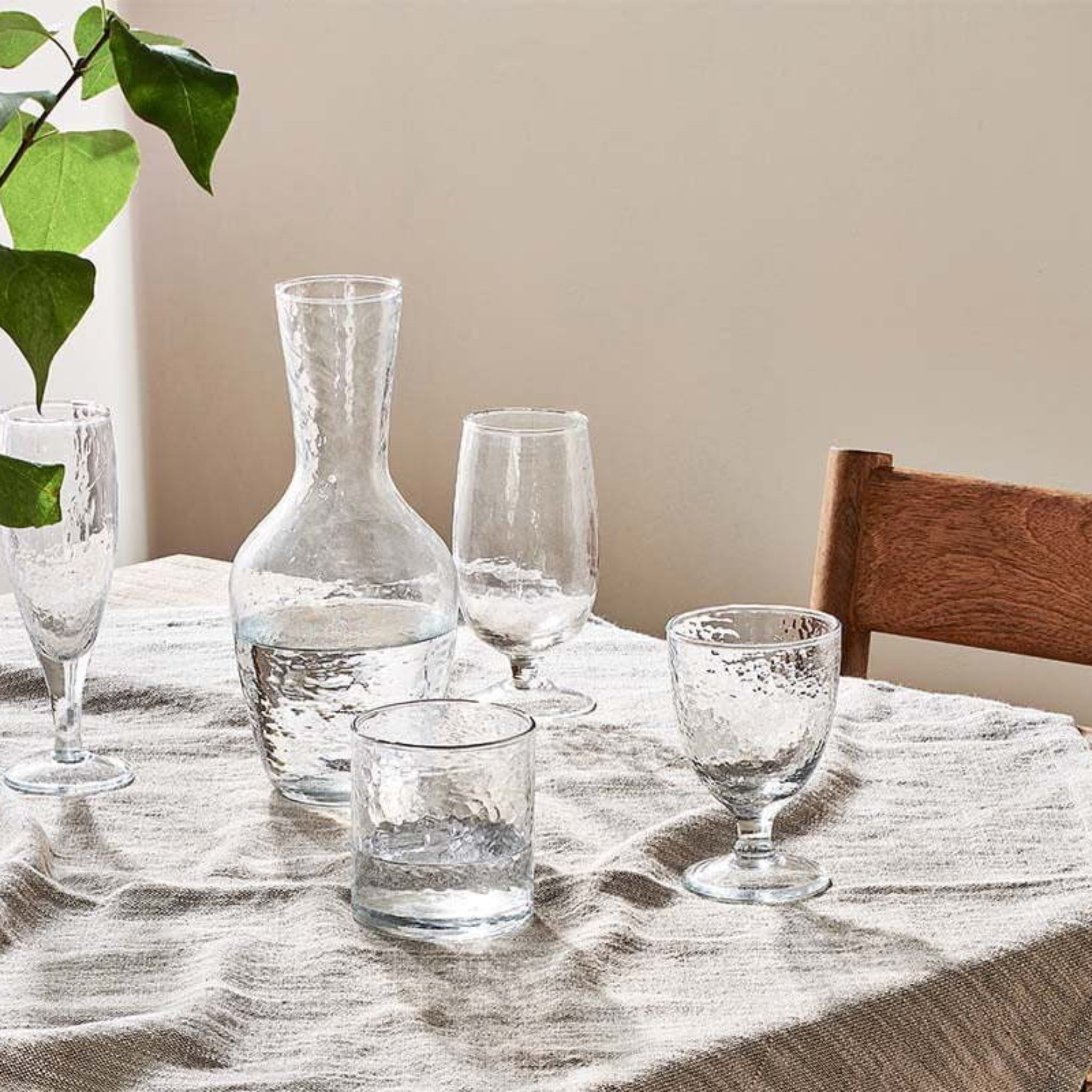 Clear glassware on a wooden table with a plant
