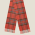 a red and blue plaid scarf