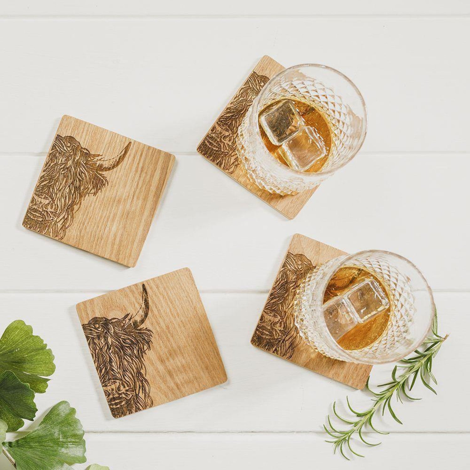 Selbrae House Highland Cow Veneer Coasters Set of 4