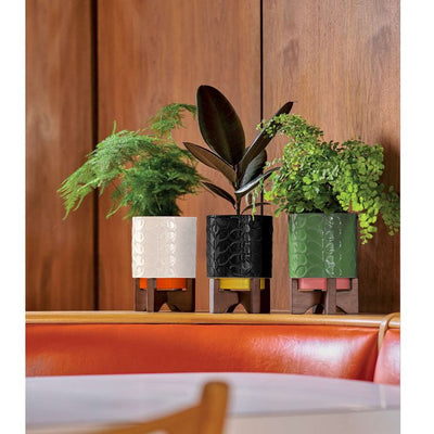 Orla Kiely Ceramic Plant Pot on Wooden Stand 60's Stem Cream